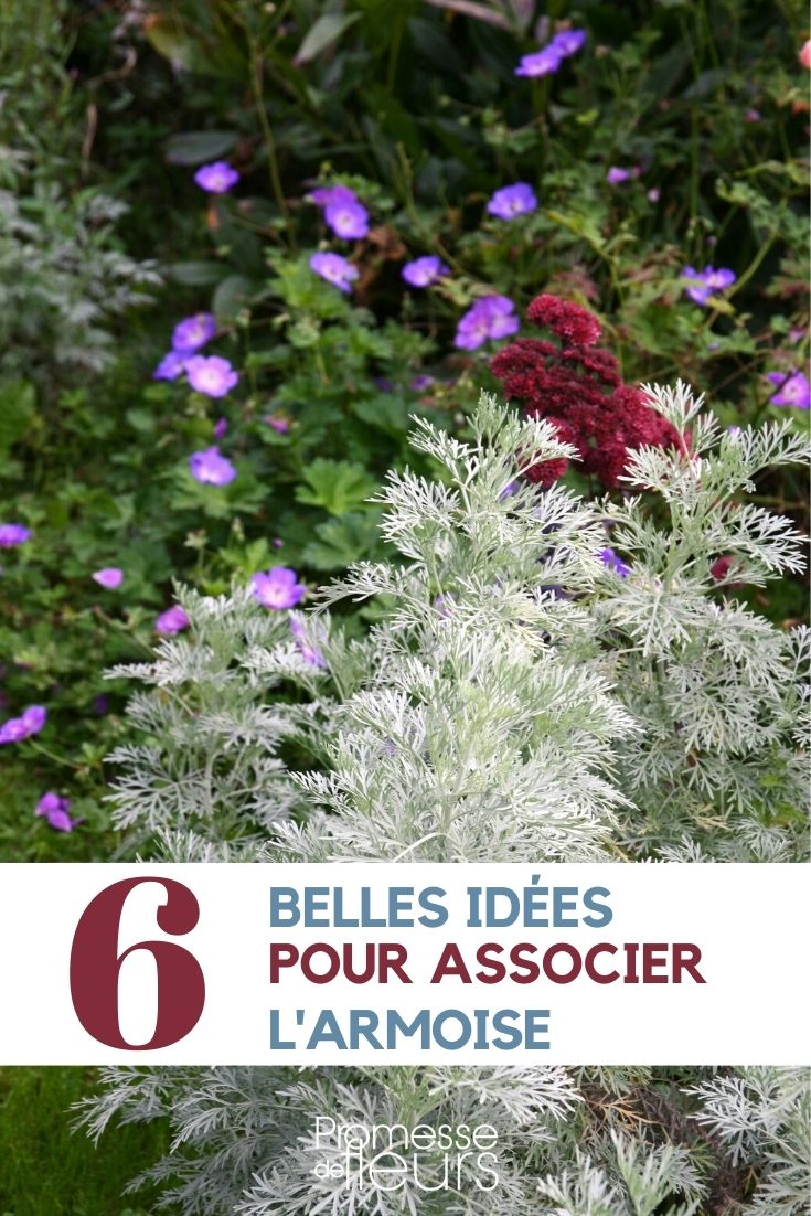 mugwort-associate Mugwort: Our Plant Pairing Ideas