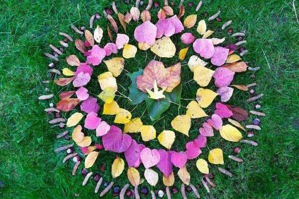 Land Art: How to Create an Autumn Mandala?