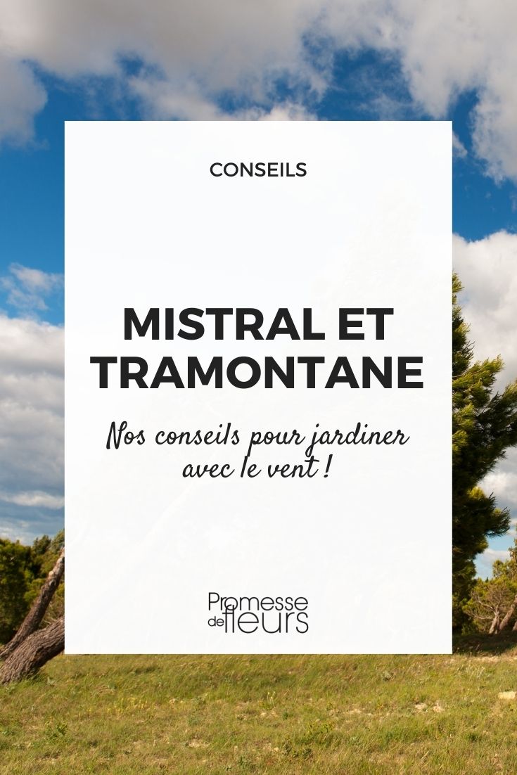 Mistral and Tramontane Gardening with Cold Winds: Mistral and Tramontane