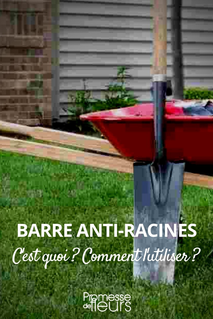 Root Barrier - Advice Sheet