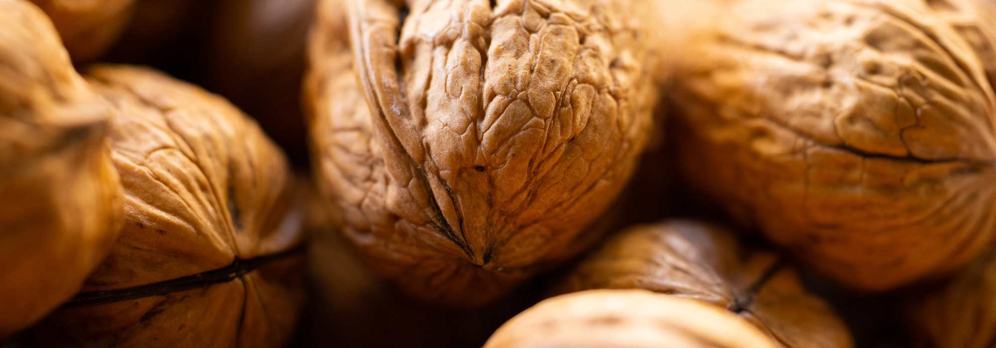 Harvesting and Storing Walnuts