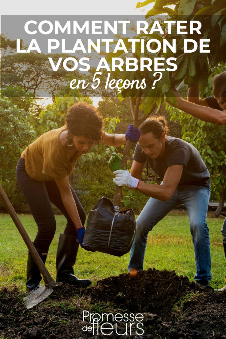 Sorry, but there is no text to translate in your request.