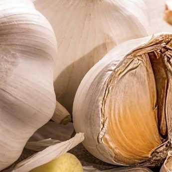 Garlic Purin or Garlic Decoction: Recipe and Uses in the Garden