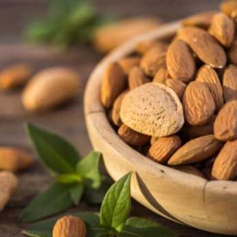 How to Harvest and Store Almonds?