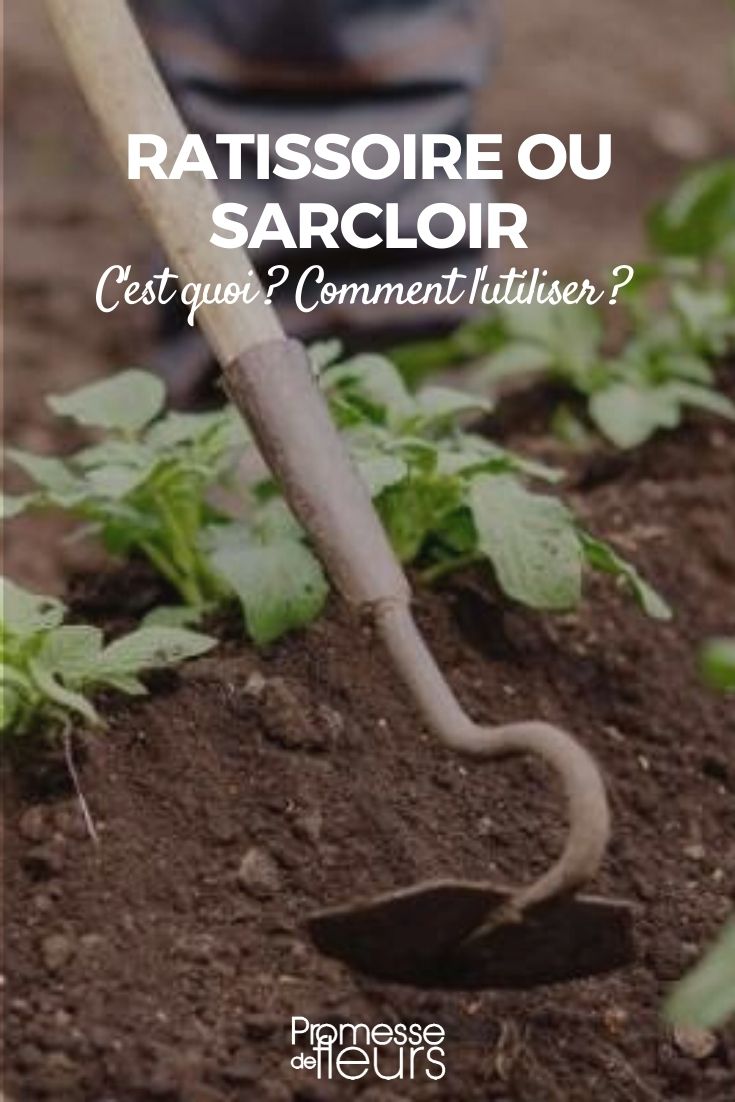 hoe, hoe hoe, weeder