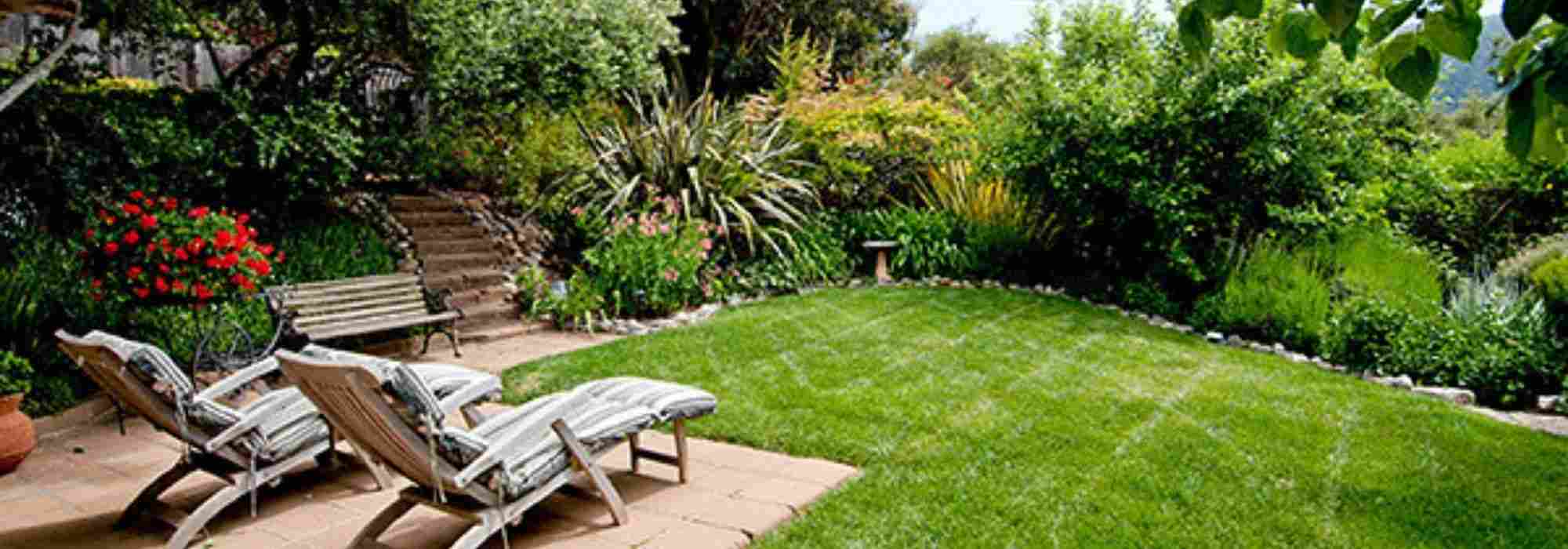 Designing a South-Facing Garden