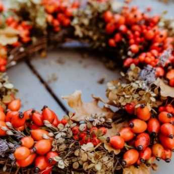 Making a Christmas wreath with rose hips