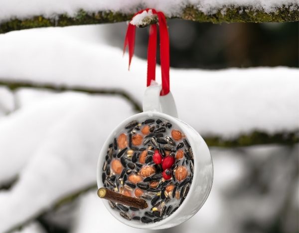 Making a seed suspension for birds in winter