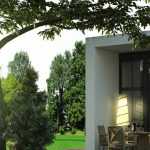 8 umbrella-shaped trees