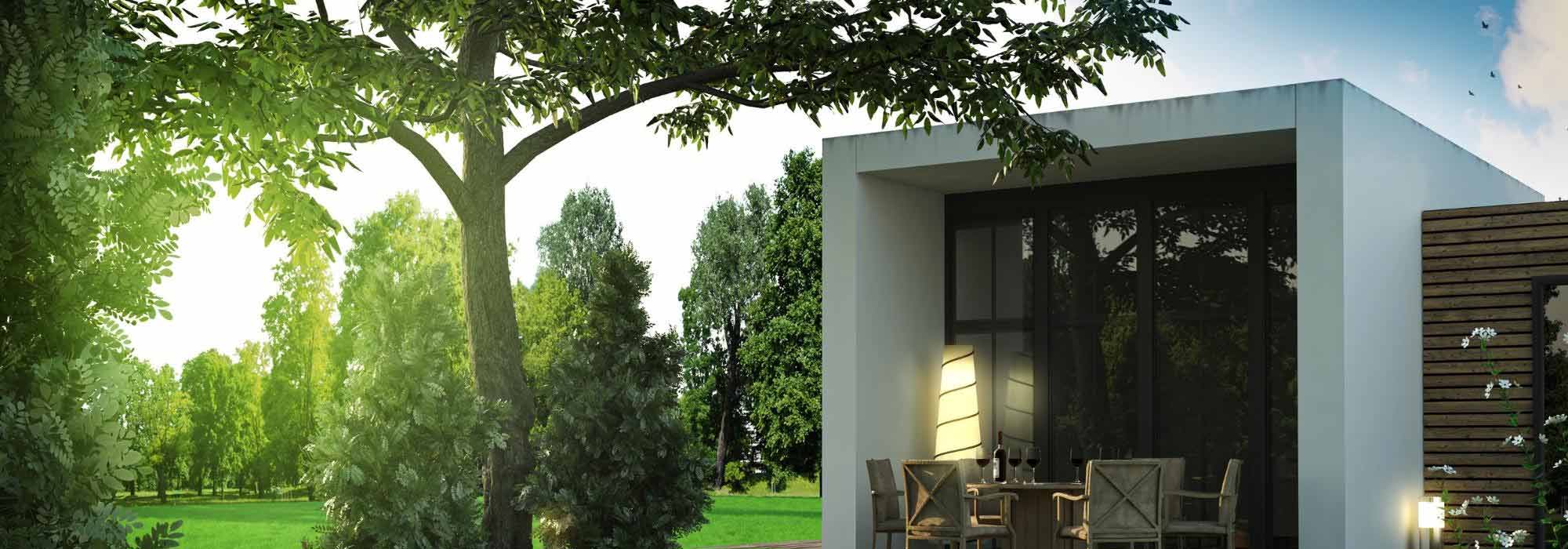 8 umbrella-shaped trees