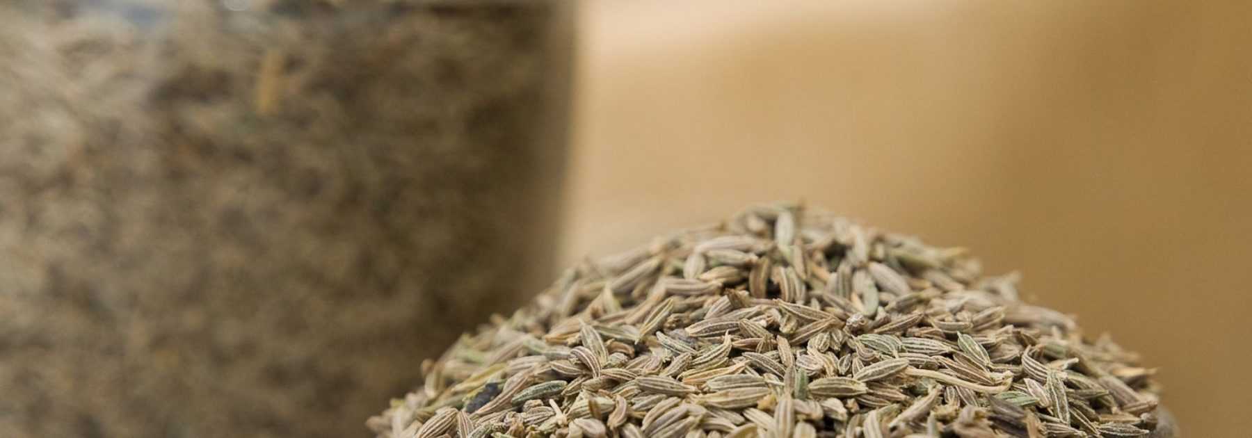 Cumin: Sowing, Cultivation and Harvest