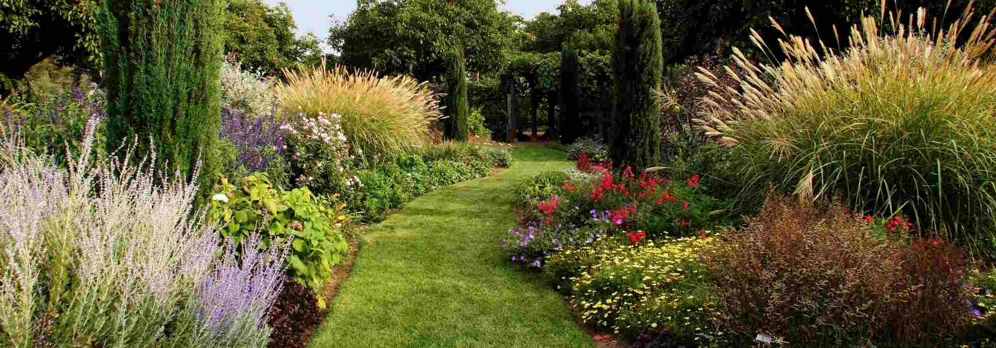 The English garden mixed border