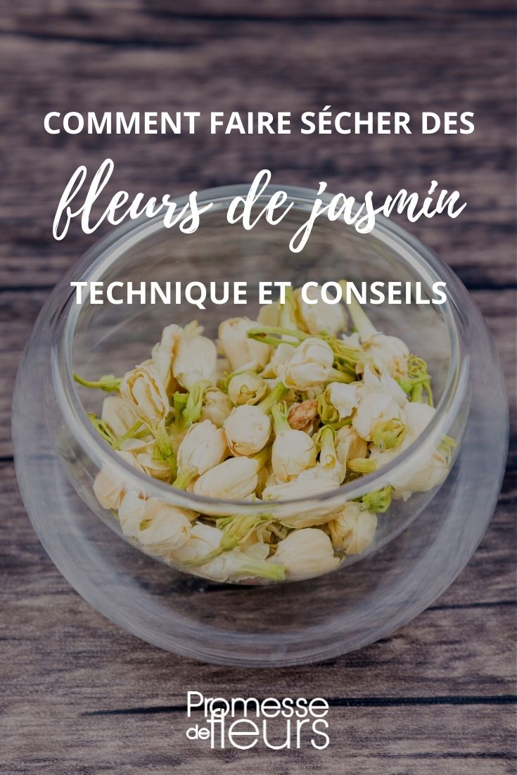 Drying Jasmine Flowers