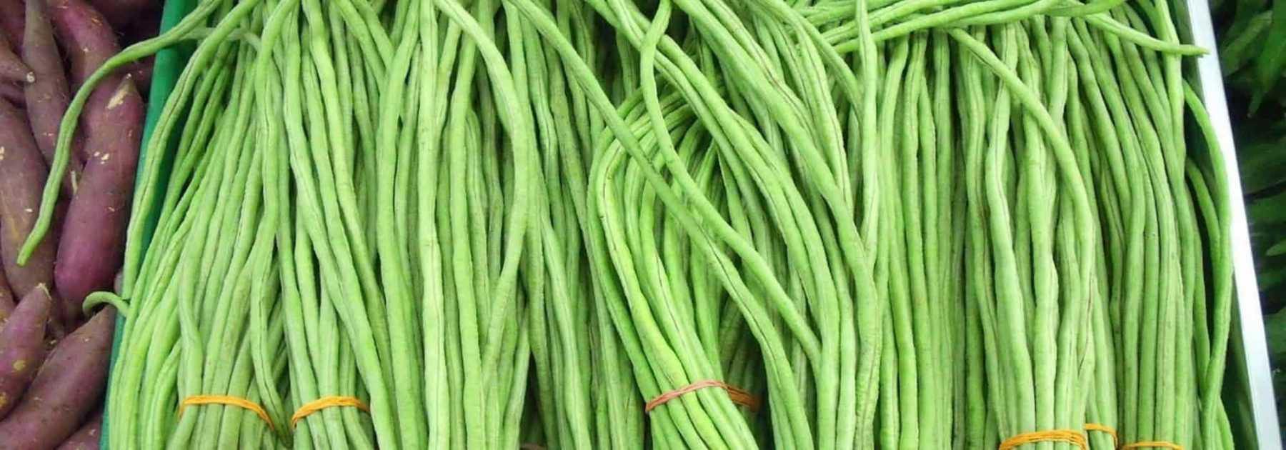 Yardlong Bean: Sowing, Growing and Harvesting