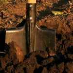 Un louchet est un outil de jardinage utilisé principalement pour creuser, retourner et aérer le sol. Il est particulièrement efficace pour travailler dans des espaces restreints ou pour manipuler des matériaux comme le compost ou le terreau. Grâce à sa forme et à sa taille, il permet de réaliser des tâches précises, comme le décompactage du sol ou le creusement de petits trous pour les plantations.