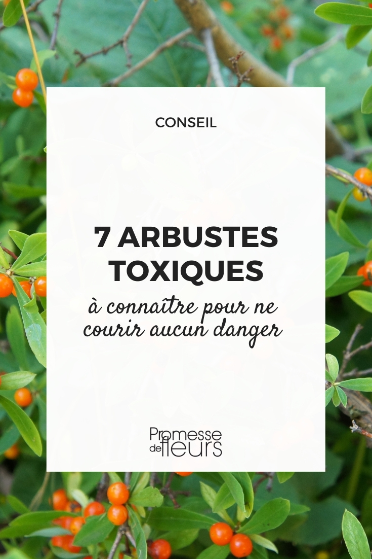 7 Toxic Bushes Toxicity in Bushes and Plants
When cultivating a garden, it's essential to be aware of the potential toxicity of certain bushes and young plants. Some species, while enhancing the aesthetic appeal of our gardens, can pose risks to humans and pets if ingested. It's crucial to identify these plants and take necessary precautions to ensure safety for all garden dwellers.
Understanding Plant Toxicity
The toxicity of a plant can vary significantly from one species to another. Symptoms of poisoning can range from mild irritation to severe health issues, including nausea, vomiting, and in extreme cases, death. Therefore, it's important to educate yourself about the plants you intend to grow.
Common Toxic Bushes and Plants
Here are a few commonly found toxic bushes and young plants that you might consider avoiding or handling with care:
1. **Oleander (Nerium oleander)** - All parts of this bush are highly toxic and can cause severe effects if ingested.
2. **Foxglove (Digitalis purpurea)** - While beautiful, every part of this plant is poisonous and can affect the heart.
3. **Rhododendron** - Contains substances that can lead to digestive, cardiovascular, and nervous system issues.
4. **Hydrangea** - The buds and leaves contain cyanogenic glycosides, which can release cyanide when chewed.
Safety Tips
- Always wear gloves when handling these plants.
- Educate your family about the dangers of ingesting or mishandling garden plants.
- Consider planting non-toxic alternatives that are equally beautiful but safer.
By being informed and cautious, you can enjoy a beautiful and safe garden environment. Remember, the key to safe gardening is not only about choosing the right plants but also about understanding the ones you already have.