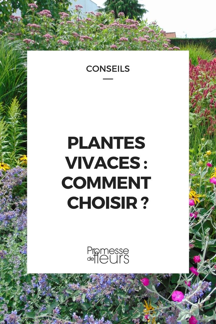How to Choose Perennial Plants Choosing Perennial Plants: Easy Perennials, Beginner Perennials, Foolproof Perennials