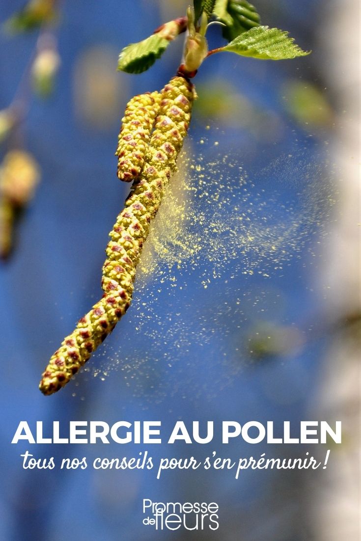 Pollen Allergies from Plants and Trees