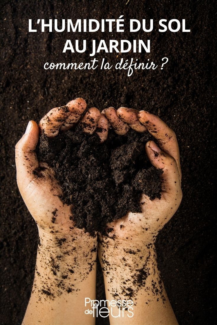 Recognising Dry, Fresh, and Clay Soils