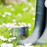 What to do in the garden in March?