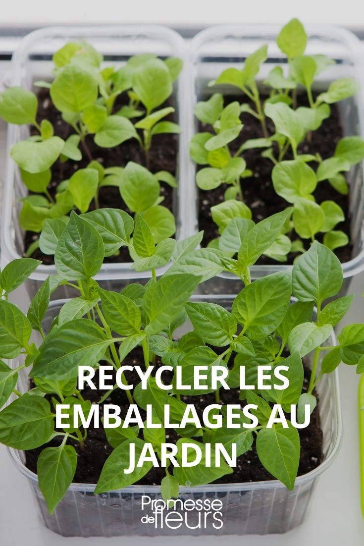 Recycling Garden Packaging