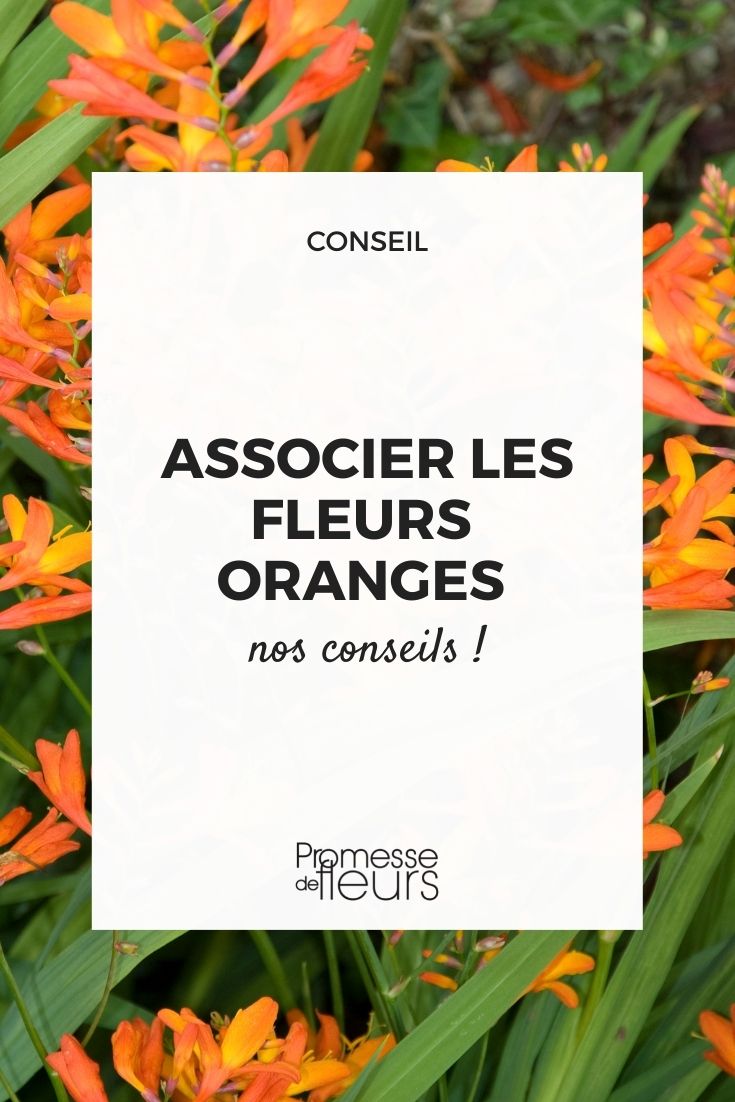 orange flower association