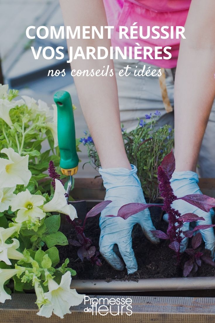 planting container tips and ideas