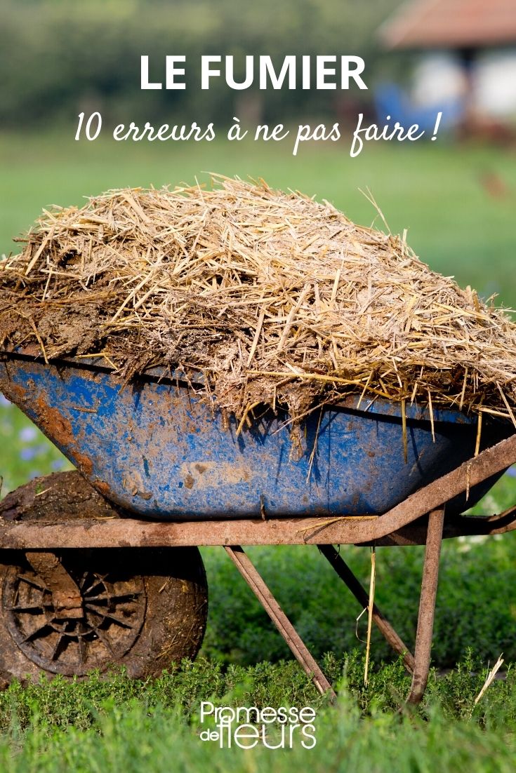 Manure: 10 Mistakes to Avoid Avoid Mistakes When Using Manure in the Garden