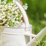 What to do in the garden in May?