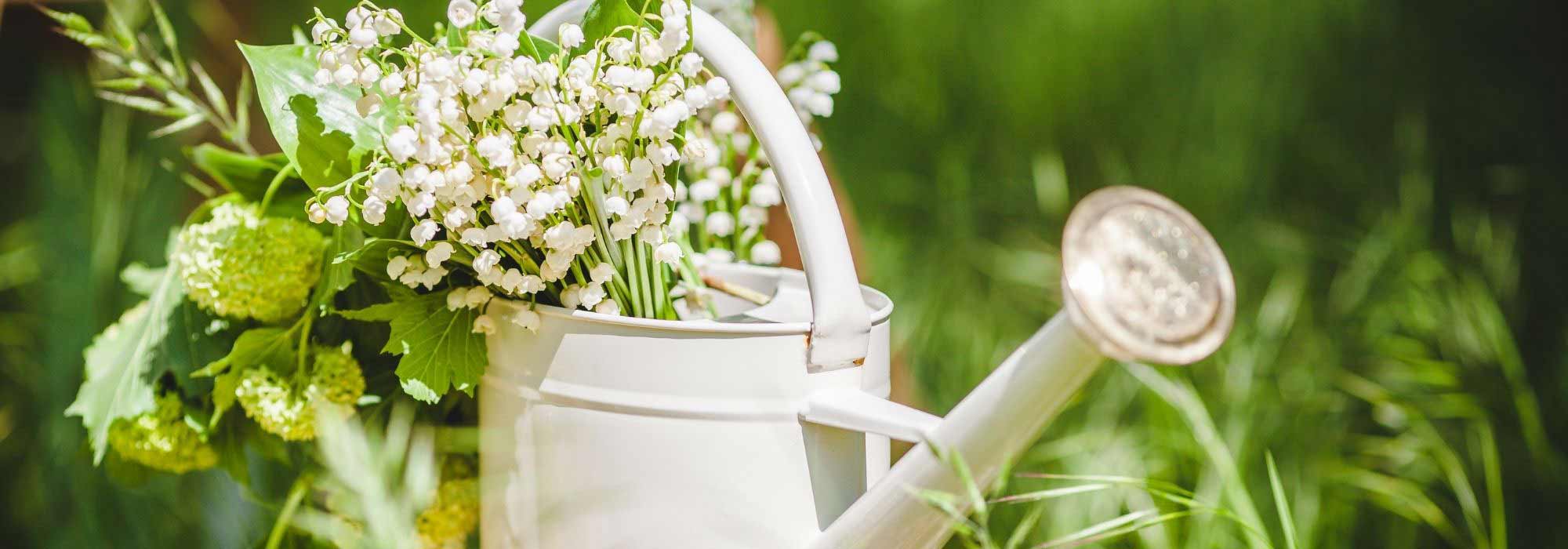 What to do in the garden in May?