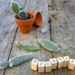 Propagate Opuntia, prickly pear cactus