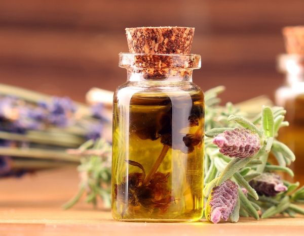Making plant oils