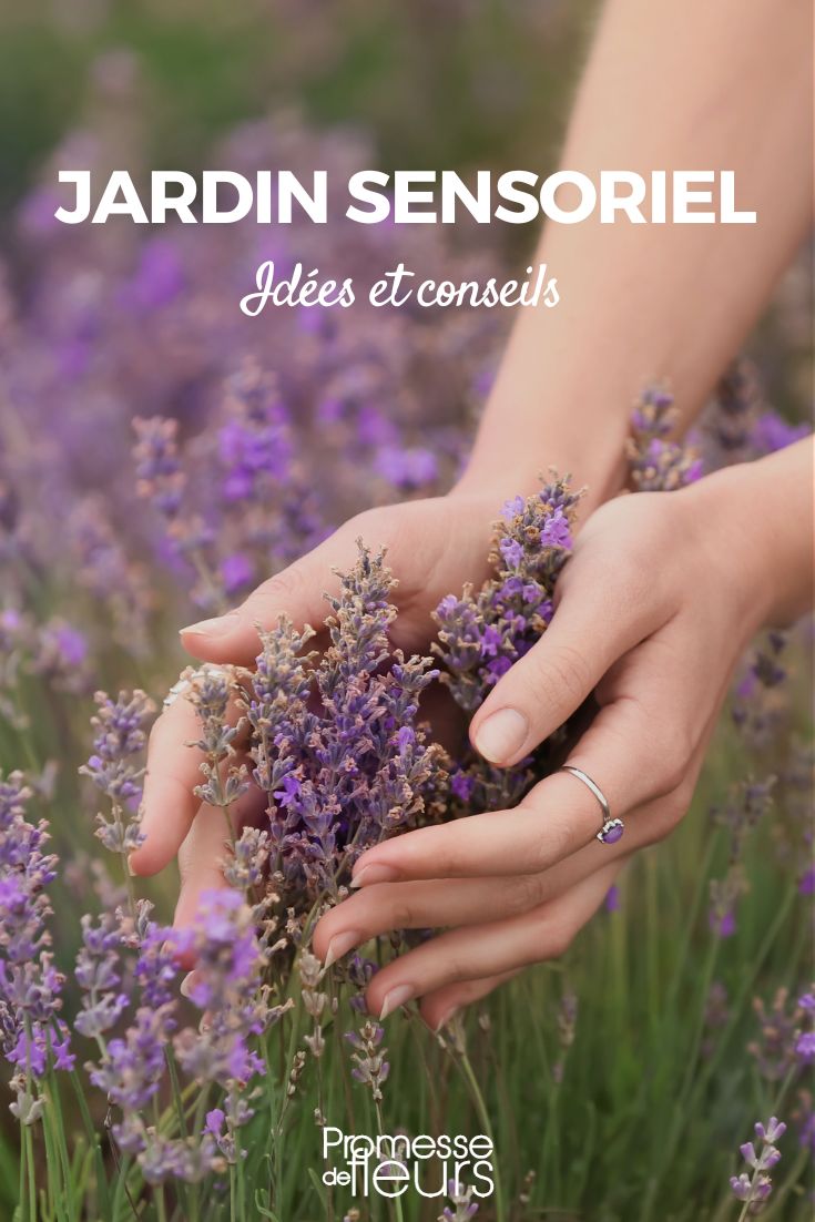 sensory garden
