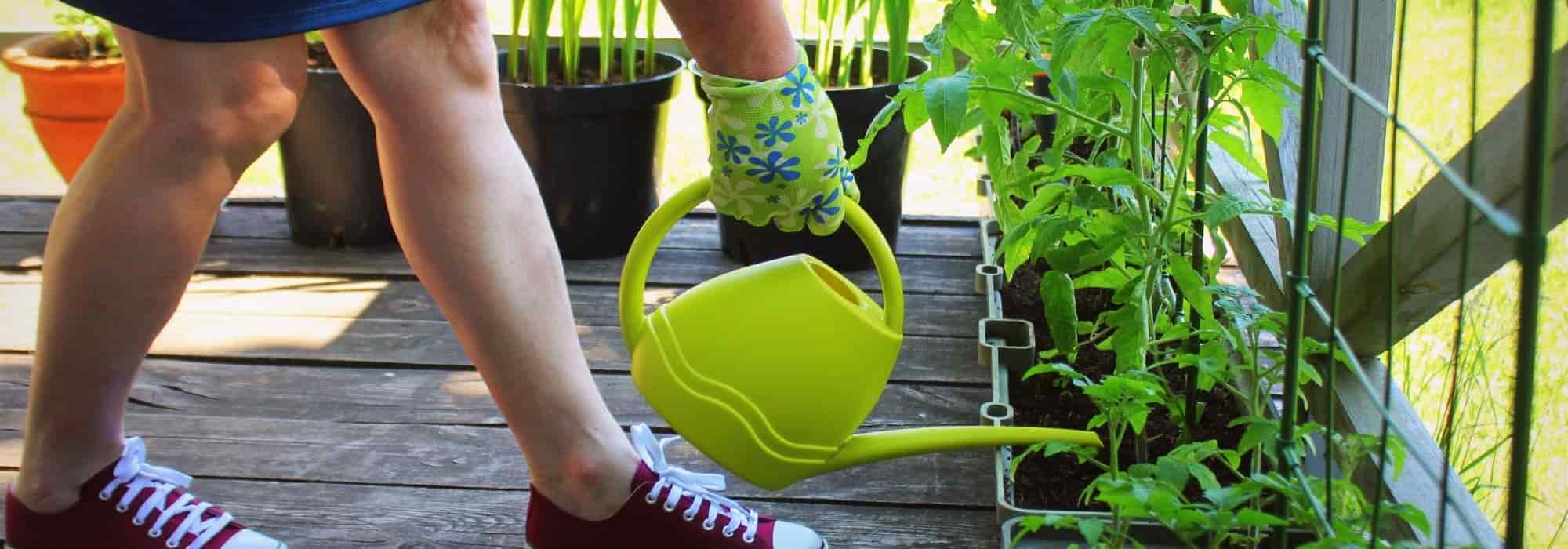 How to grow vegetables or fruits on a terrace?