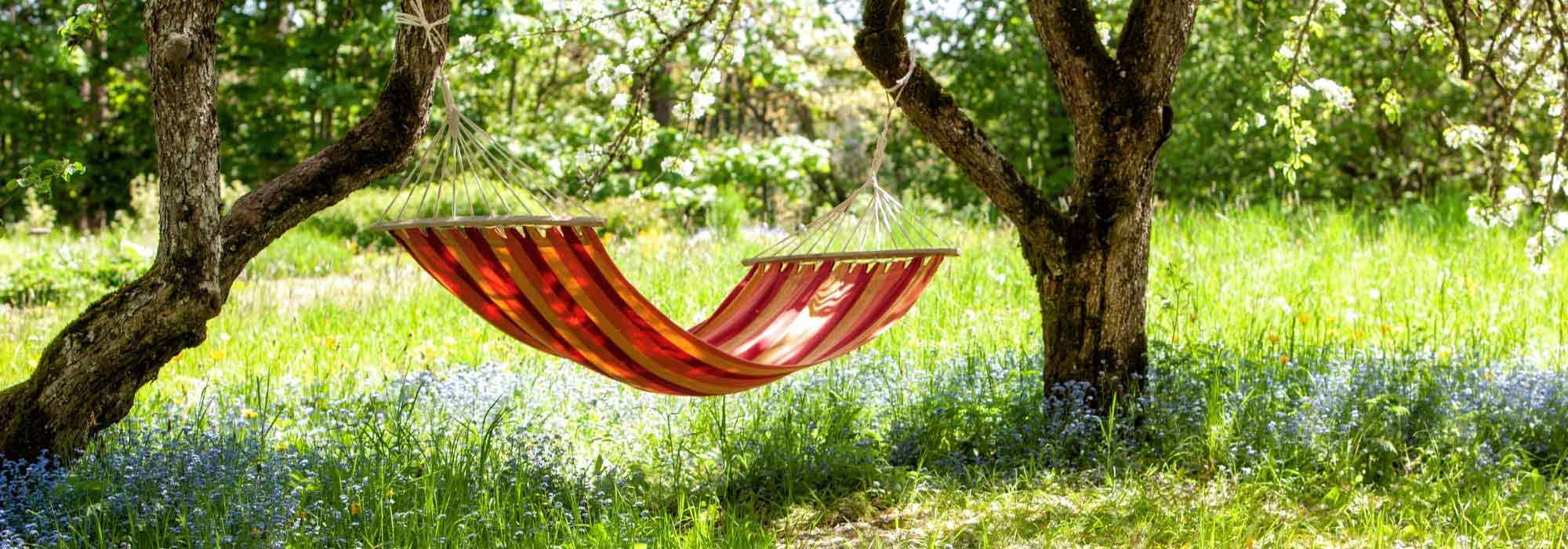 Greening to cool the ambient air