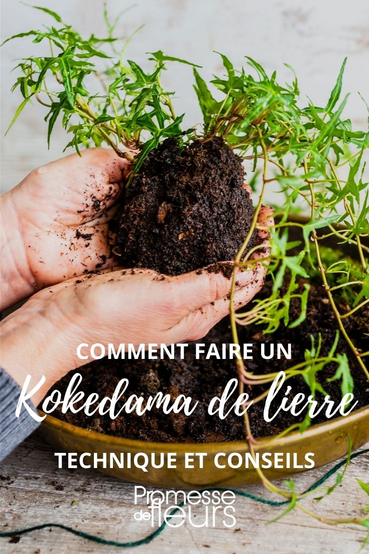 [kokedama plant="ivy"]