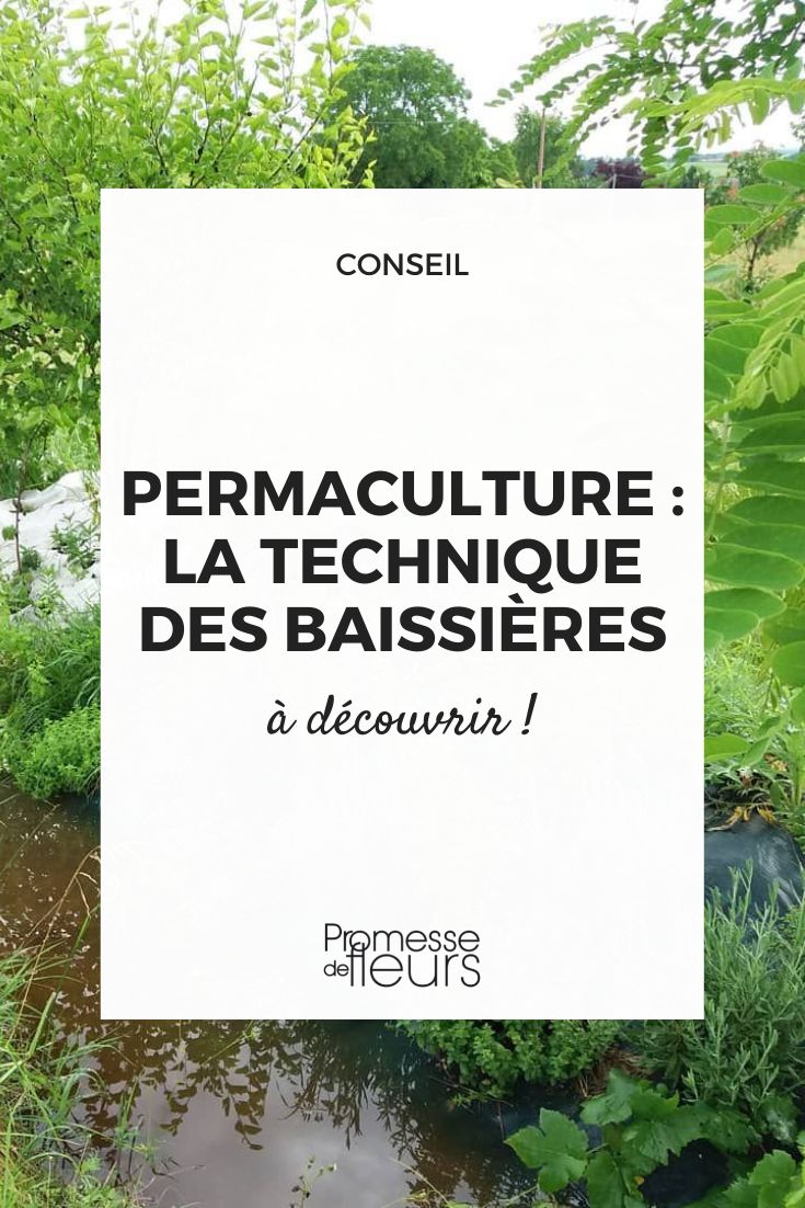 baissière swale ditch permaculture