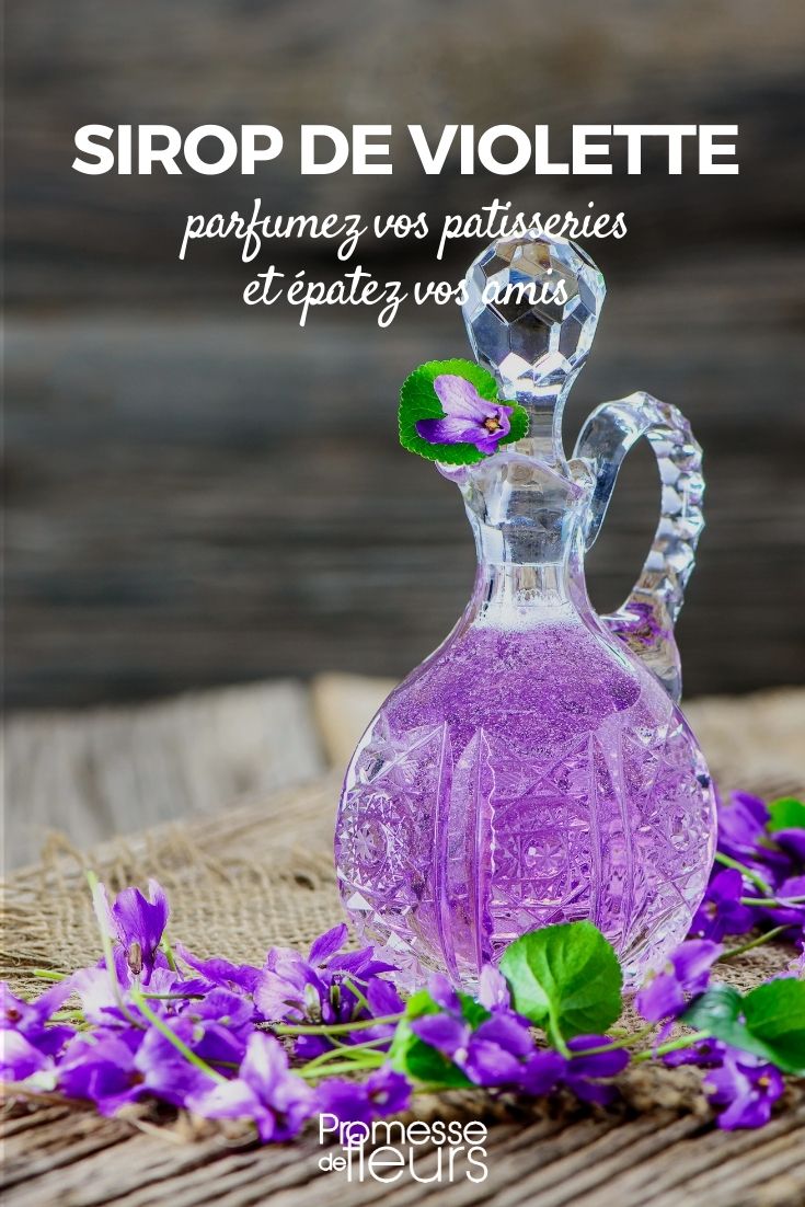 violet syrup