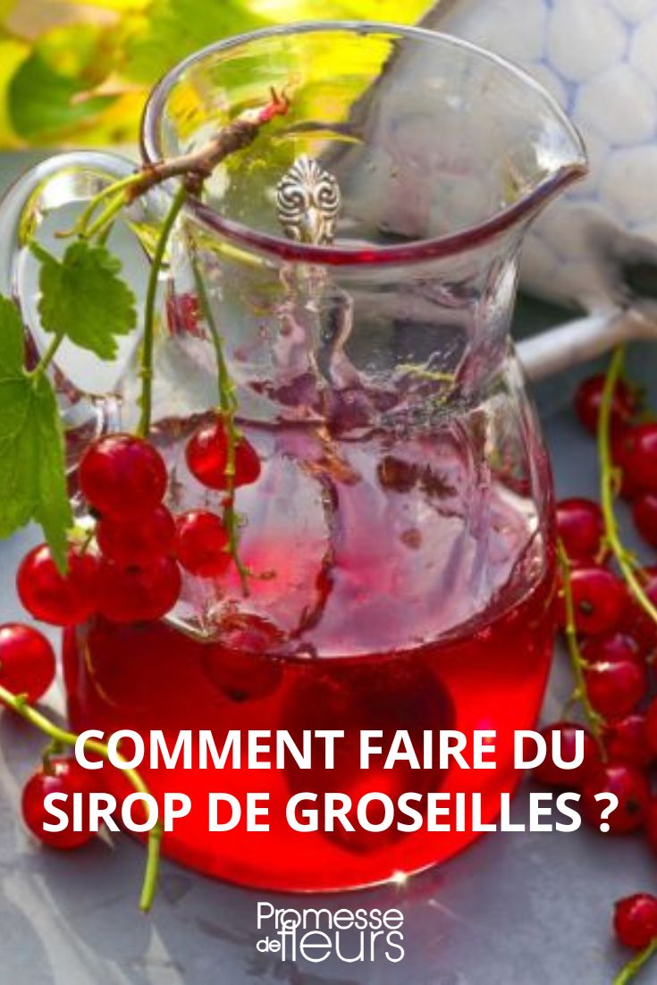 [plant]currants syrup