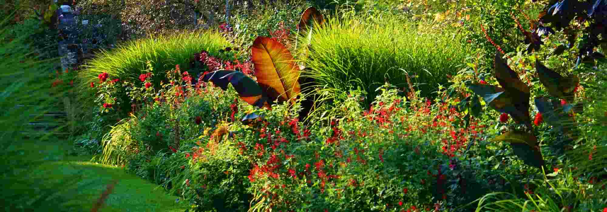 8 landscaping tips for red gardens
