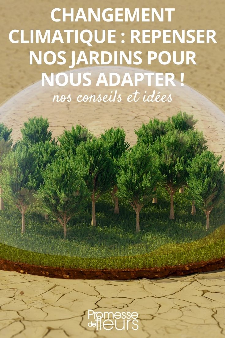 Climate change: rethinking our gardens to adapt! resilient climate garden