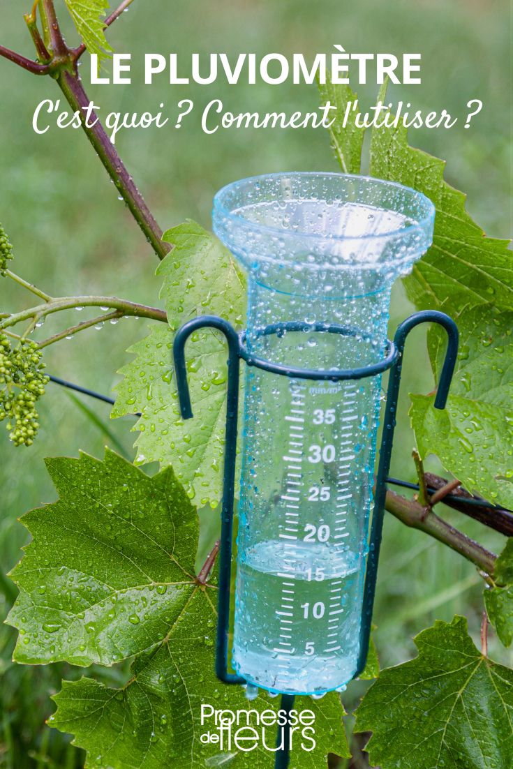 [pluviometre]Utilisation : "valeur1