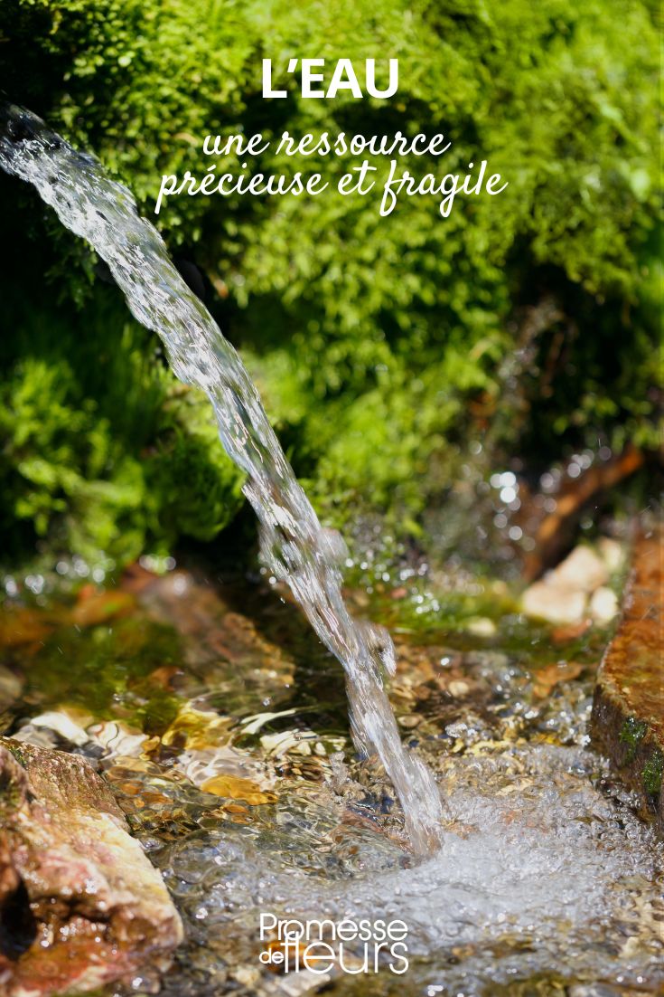 Water: a precious and fragile resource. preserve water