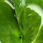 Water: a precious and fragile resource