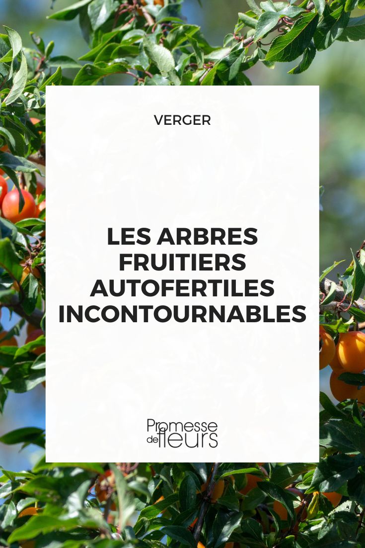 Essential Self-Fertile Fruit Trees Essential Self-Fertile Fruit Trees