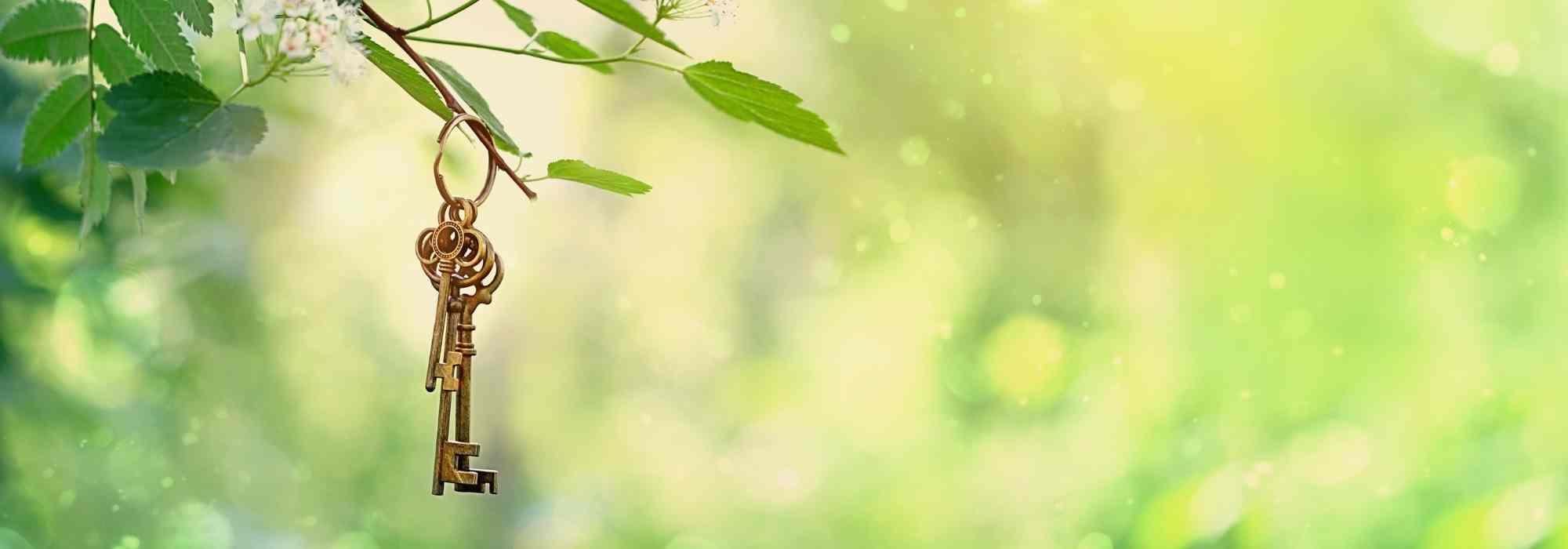 Creating a secret garden