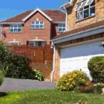 Which plants to choose along a driveway?