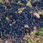 Biochar: what is it?