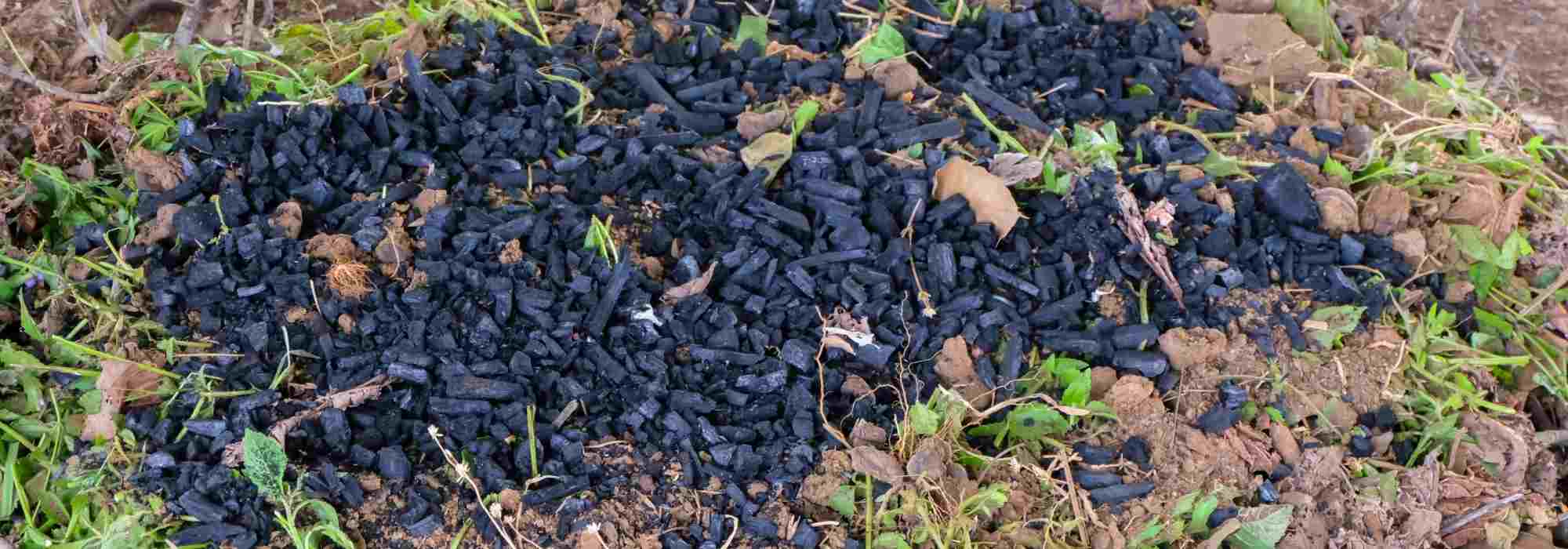 Biochar: what is it?