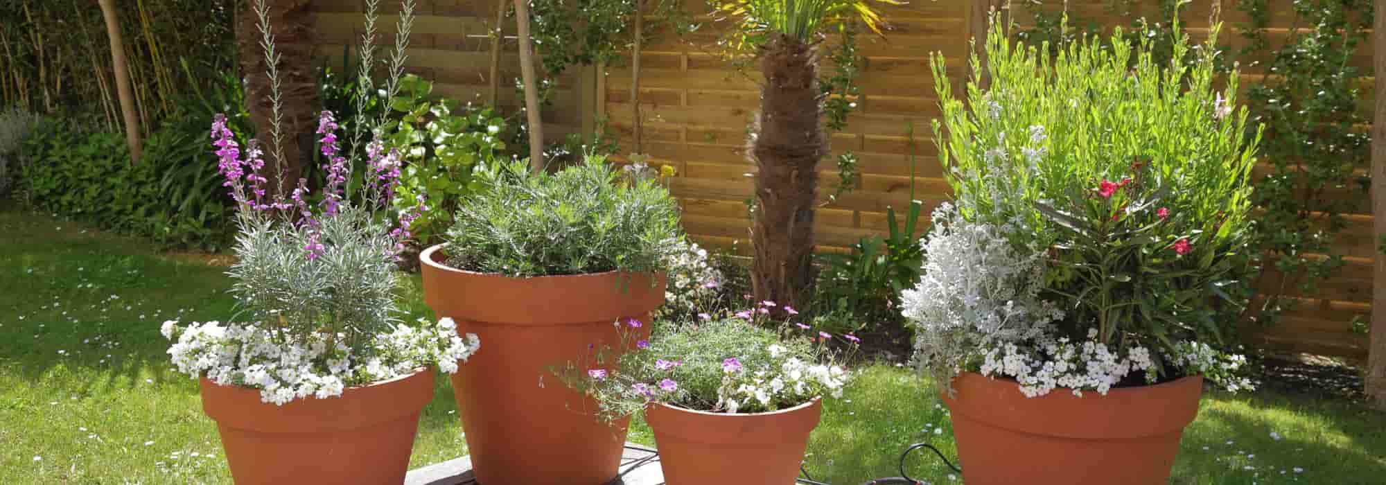 How to arrange pots on a terrace?